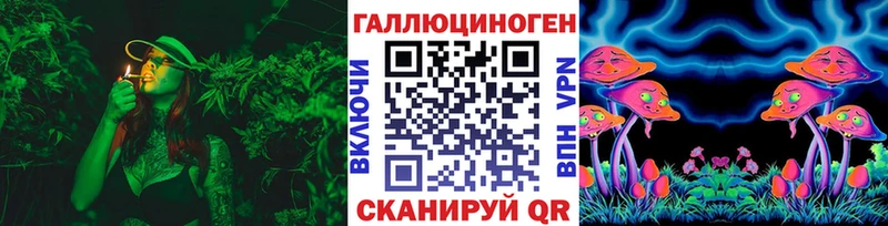 Галлюциногенные грибы GOLDEN TEACHER  цена   Грязи 